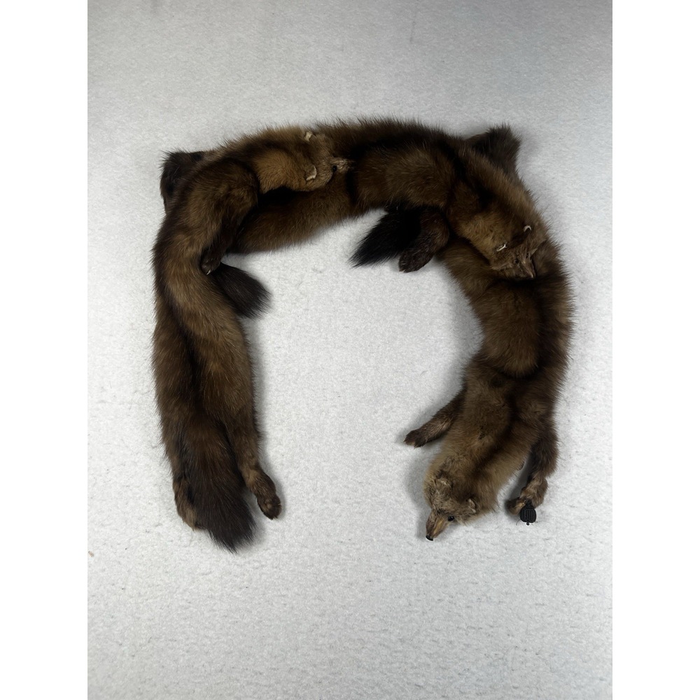 Schumacher Fur Co. 30s 1930s Three Full Mink Hides Stole Rare Nice Condition